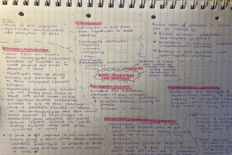 Student lecture notes